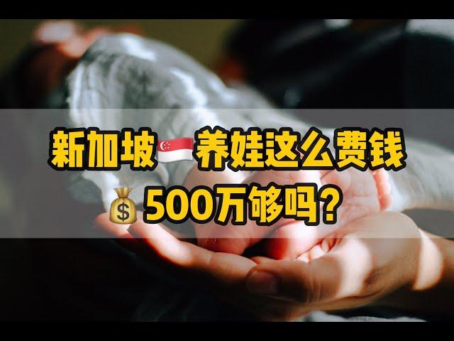 新加坡养娃这么费钱，500万够吗？