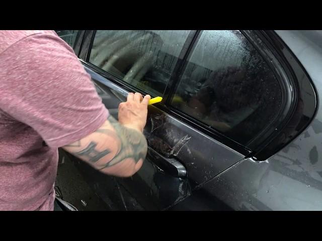 BMW Paint Protection P2  Full Door