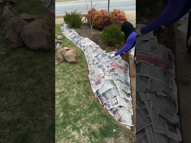 I love sheet-mulching!I extended this #gardenbed using the #sheetmulching technique.