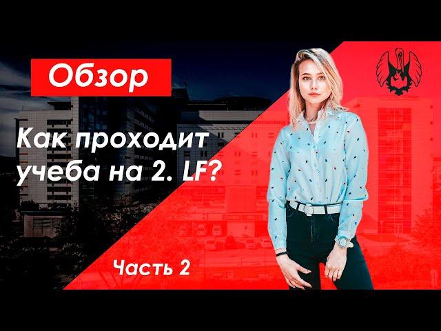 КАК ПРОХОДИТ УЧЕБА НА 2. МЕДИЦИНСКОМ КАРЛОВА? | Обучение в Чехии