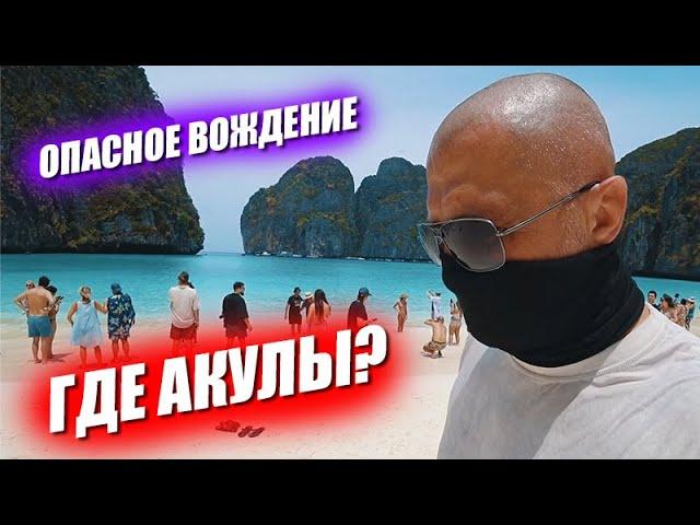 Хочу увидеть акулу. Опасное вождение. Новый гипермаркет