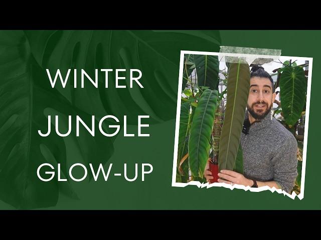 December Plant Room Glow-Up! Winter Growth Secrets ️