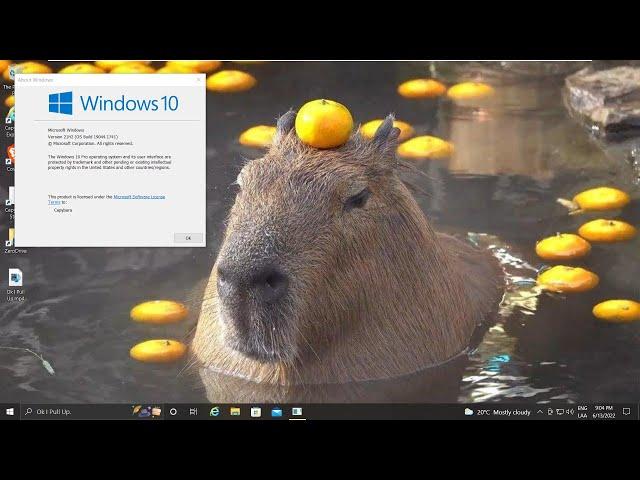 Windows 10 Capybara Edition