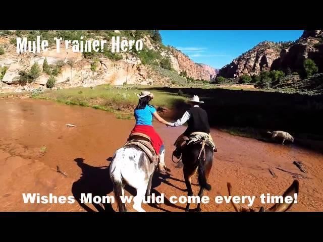 Mule Trainer Hero: Extreme Water Edition