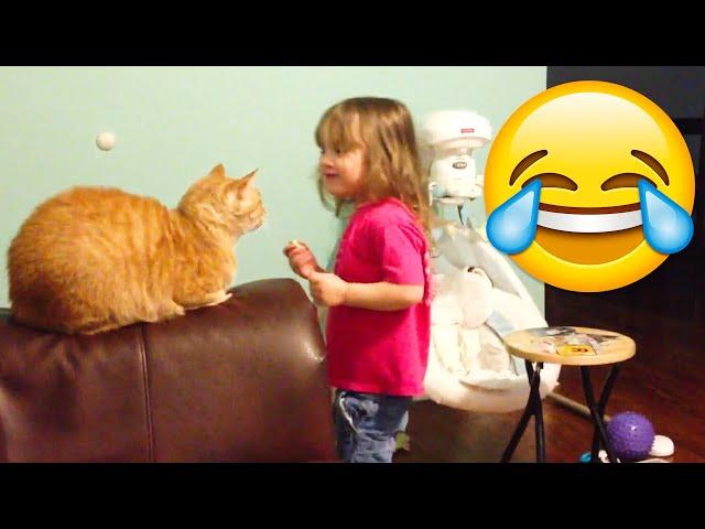 Unexpected Cats Attack - Crazy Cats Behavior - Try Not To Laugh || PETASTIC 