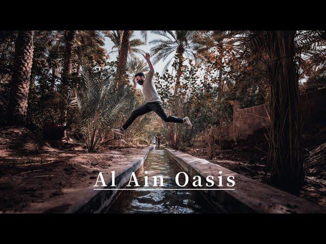 Al Ain Oasis