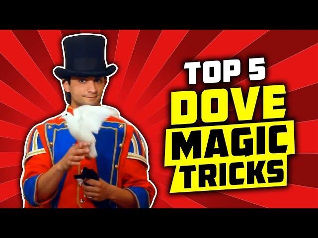 WOW! TOP 5 DOVE Magic Tricks that you can learn!