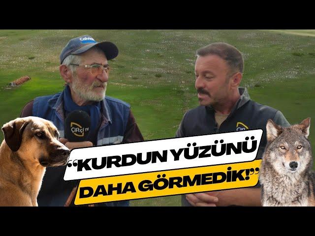 "Kurdun Yüzünü Daha Görmedik!"