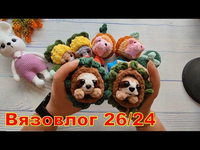 Вязовлог 26/24. Очередная ярмарка и её итоги.
