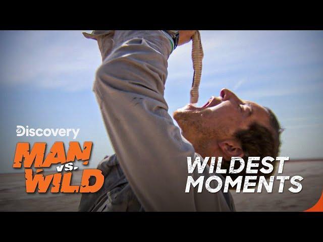 Bear Grylls Top 5 craziest moments!! | It cant get any wilder! | Discovery Channel India