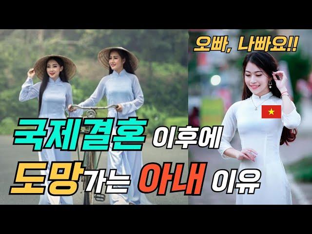 국제결혼하고 도망가는 아내들의 진짜 이유를 알려줌 (Feat. 팩폭주의) #국제결혼 #베트남국제결혼 #울산국제결혼 #국결스