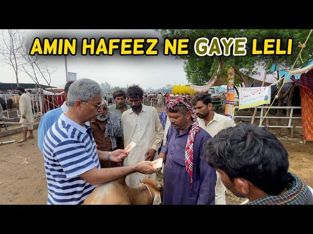 Amin Hafeez Purchasing Gaye for Eid-ul-Adha 2023 (Series 5/5) | Amin Hafeez