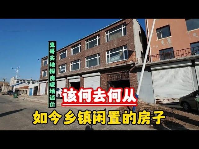 吉林省乡镇房价现今状况，鬼哥实地探房现场谈价全程纪实拍摄。