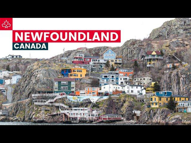 Canada Road Trip: Best Things To Do In Newfoundland