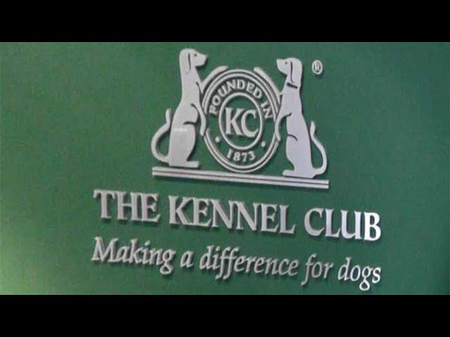 The Kennel Club