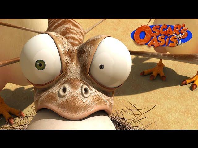 Special September COMPILATION | Oscar’s Oasis | Funny Cartoons for Kids