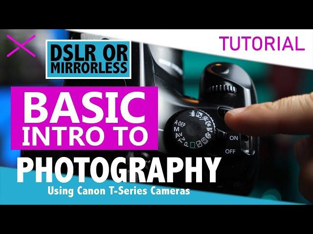 Canon T3 Basic Camera Tutorial for Photography