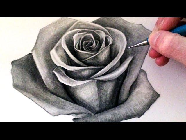 How to Draw a Rose