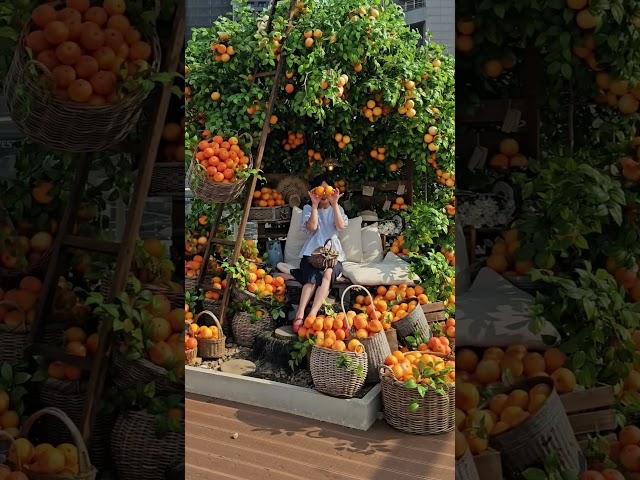 바다뷰 2000% 느낄 수 있어요 #주말에가볼만한곳 #바다앞농장      #바다앞테라스 #영종도카페 #구읍뱃터  #카페투어 #인천카페