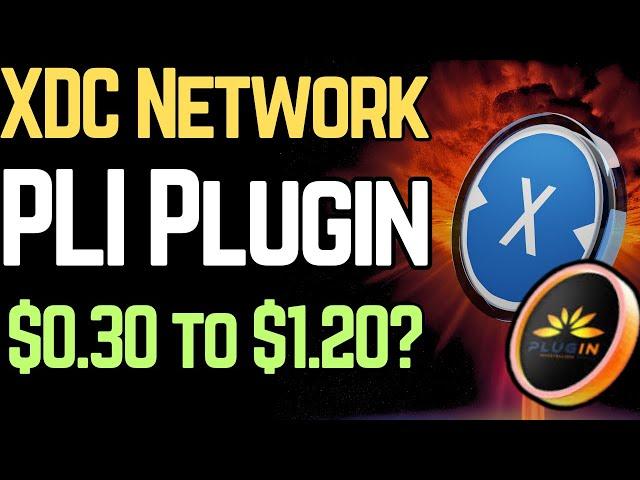 PLI Plugin: XDC Network's Data Driver (100x HIDDEN GEM?)