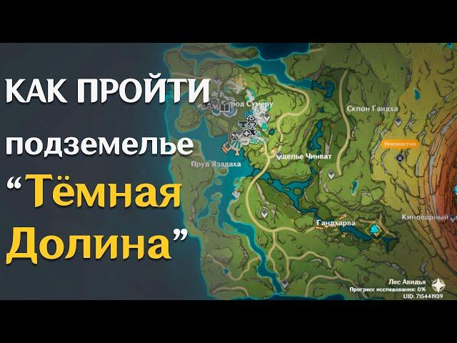 КАК ПРОЙТИ ПОДЗЕМЕЛЬЕ "ТЁМНАЯ ДОЛИНА" ? | GENSHIN IMPACT 3.0