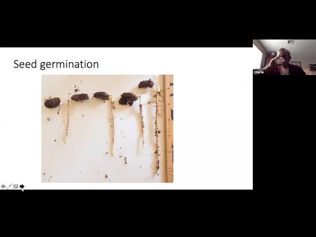 Paw Paw Workshop with Dr. Charles West (May 2020)