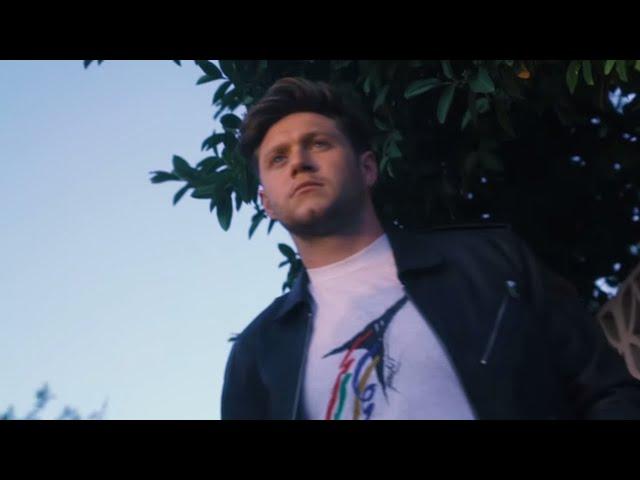 Niall Horan - Dear Patience (Official Visualizer)