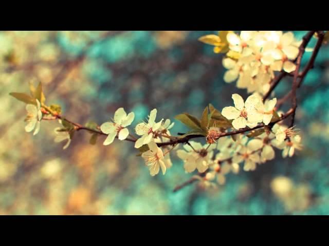 Life in a Day - Music by Greg Hulme