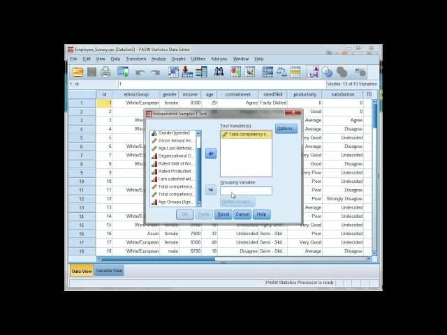 Run an independent t-test in SPSS