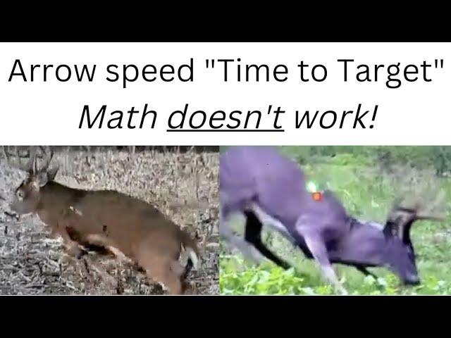 Arrow Speed Analysis (Can you beat the animals?)