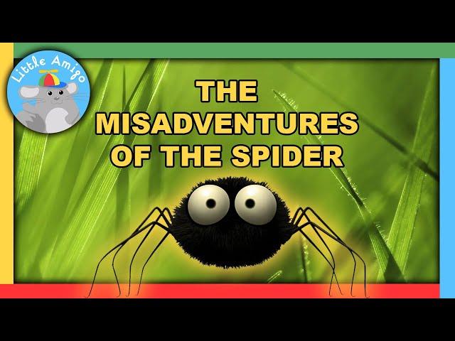 Minuscule | Best of the Spider! ️ | Compilation |  Little Amigo