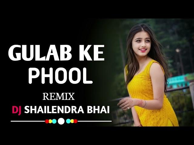 Gulab KE Phool | गुलाब के फूल New Cg Song | Cg Vibration Mp2 Mandar Mix 2024 Dj Shailendra Bhai