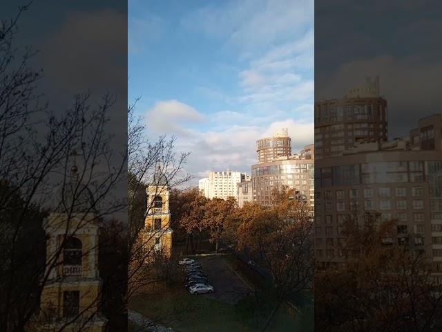 они плывут в разных направлениях? #timelapse #shorts