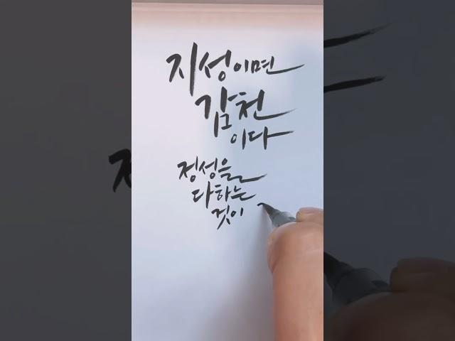 #shorts 속담으로 알아보는 짧고 좋은 글귀/캘리그라피쓰기