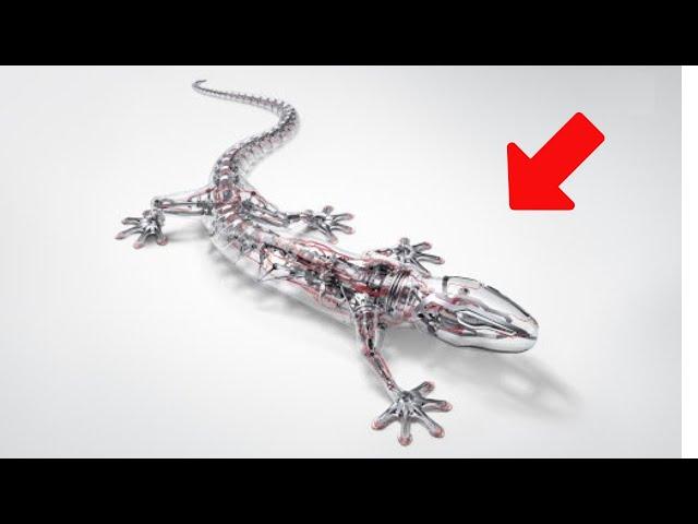 10 AMAZING ROBOTIC ANIMALS YOU MUST SEE/Tech Nation