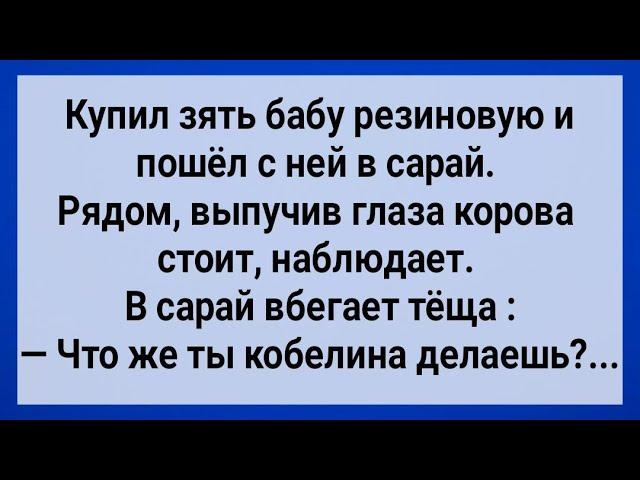 Как Зять в Сарае Корову Напугал! Сборник Свежих Анекдотов! Юмор!