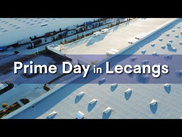 Prime Day in Lecangs#dropshipping #EfficientDelivery #Lecangs #warehouse #logisticsservices #3PL