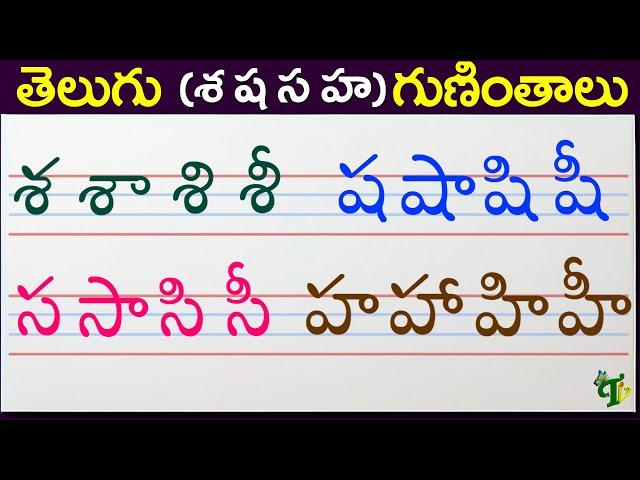 శ ష స హ గుణింతాలు | Se Sha Sa Ha guninthalu | How to write Telugu guninthalu @TeluguVanam ​