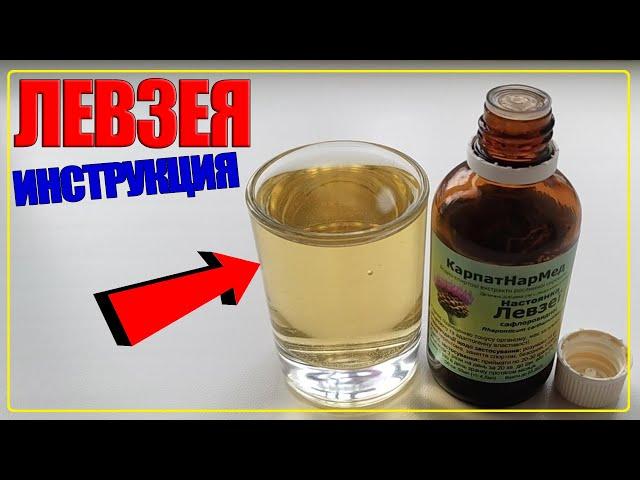 Leuzea INSTRUCTION | ADAPTOGENS