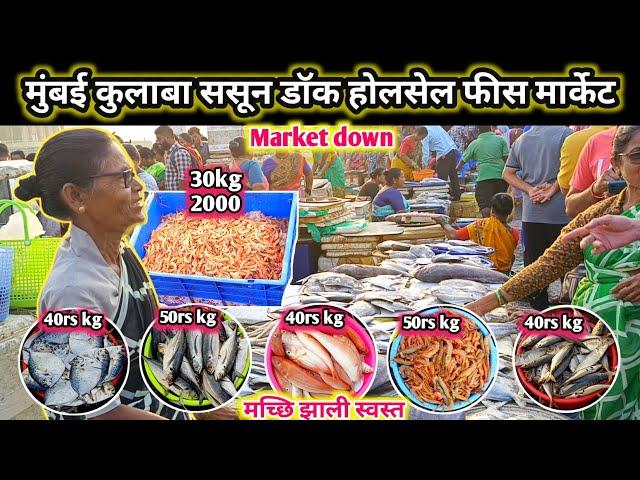 Kulaba Fish Market | Mumbai Kulaba Fish Market | Fish Market kulaba | Wholesale Fish Market  kulaba