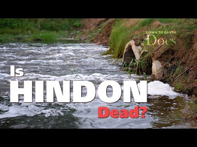 How did the Hindon river pollution cause public healthcare crisis? | DTE DOCS