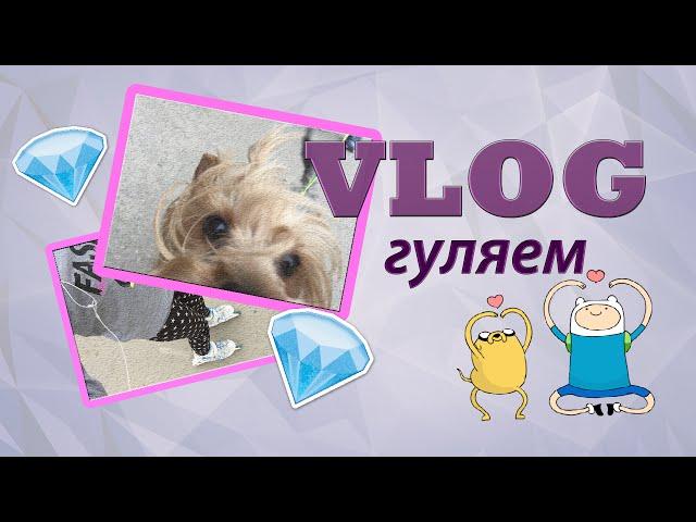 VLOG // Гуляю с собакой, катаюсь на роликах)