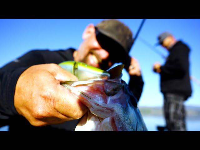 Fishing Swimbaits on Clear Lake with GCJ Baits' Gary Collins and SoCal Crusher -Crush#35-