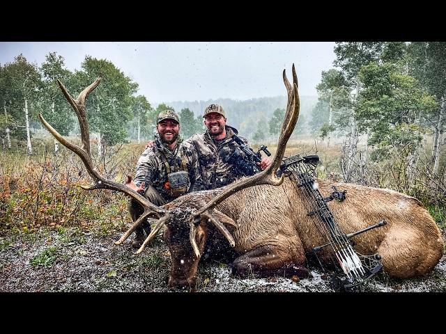 Archery Elk Hunt In The Utah Mountains | Deer Season 24