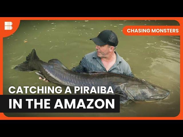 Fishing Amazon's Depths - Chasing Monsters - Fishing Show