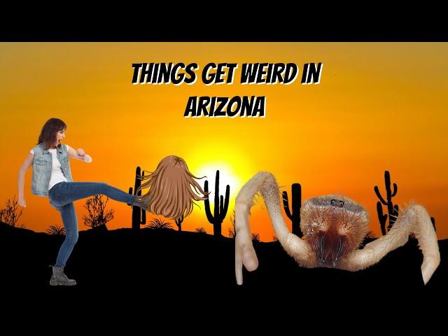 Herping gets weird in AZ when the sun goes down.