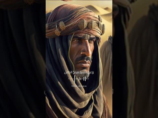 اعتزل ذكر الأغاني والغزل _ لامية ابن الوردي