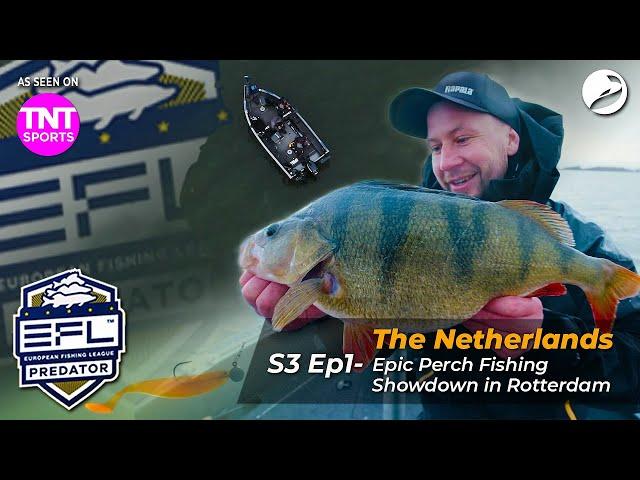  European Fishing League 2024 - EFL S3 Ep1: Epic Perch Fishing Showdown in Rotterdam! | Outlaw Pro