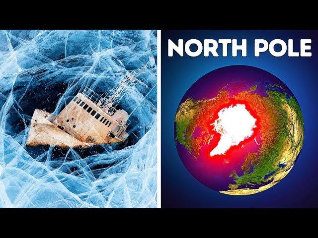 Why Nobody Can Survive in the North Pole