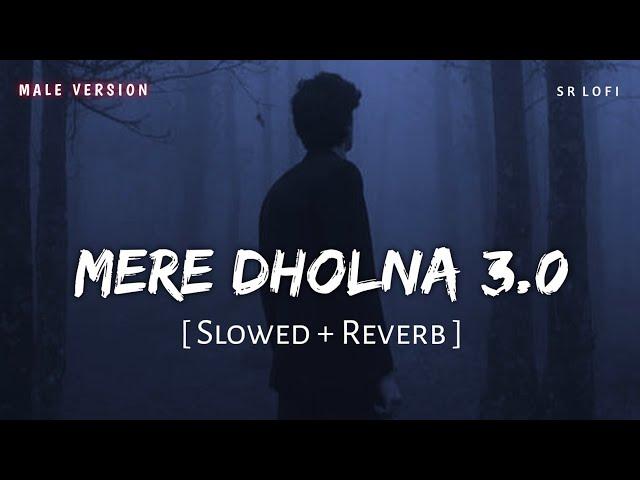 Mere Dholna 3.0 (Slowed + Reverb) | Sonu Nigam | Bhool Bhulaiyaa 3 | SR Lofi